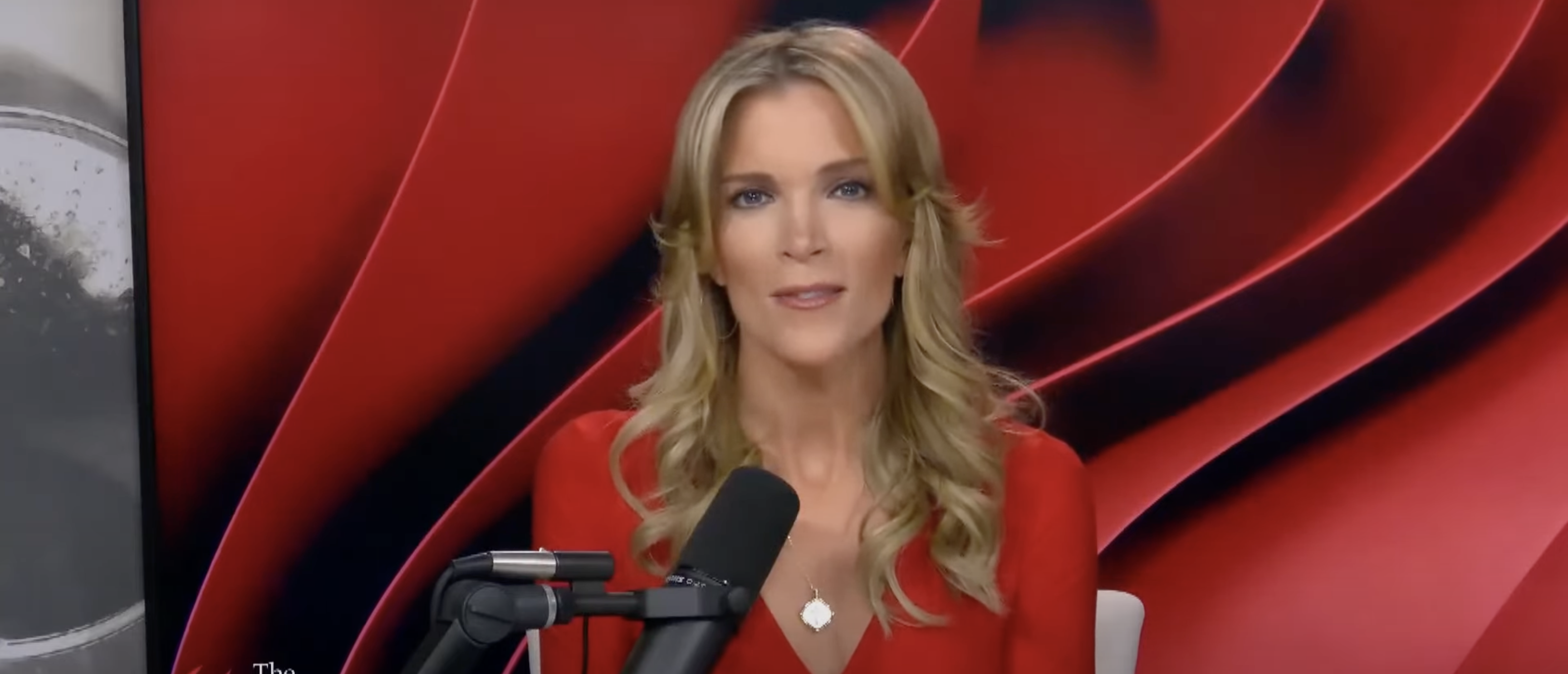 Megyn Kelly Says She Knows How To Fix Illegal Immigration Crisis ‘Overnight’